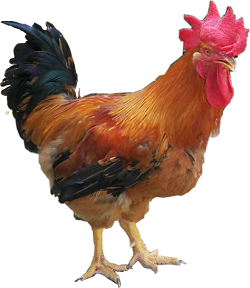 1656495263872030.png 图片10.png