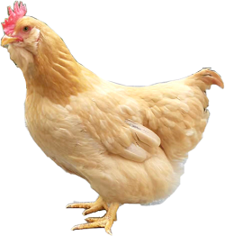 1656495299527323.png 图片12.png