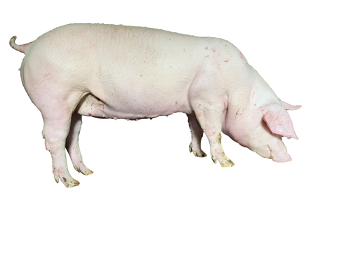 1656495498184040.png 图片15.png