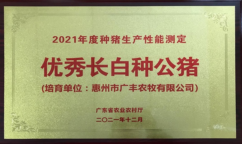 1656580092270169.jpg 图片12 - 副本.jpg
