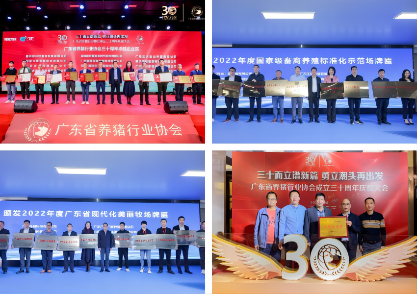 1680838856975363.png WPS拼图01.png