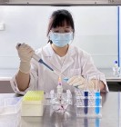 展巾帼风采，谱精彩华章